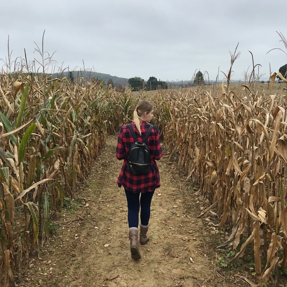 Meet your Posher, Kakatelyn - Picture 1 of 1